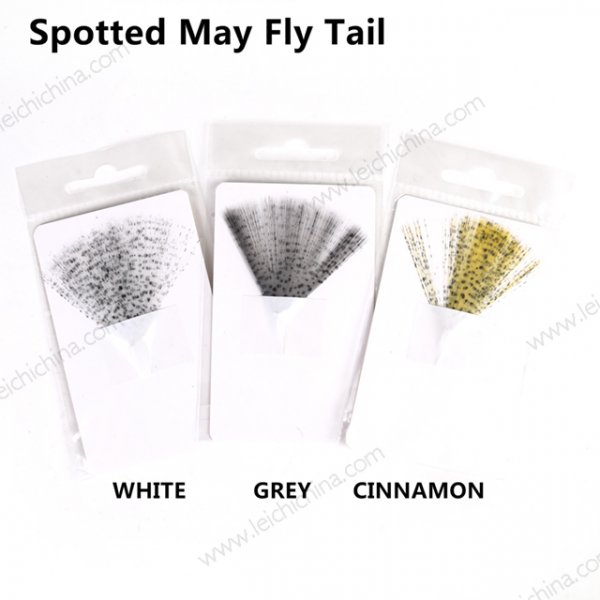 Spotted May Fly Tail