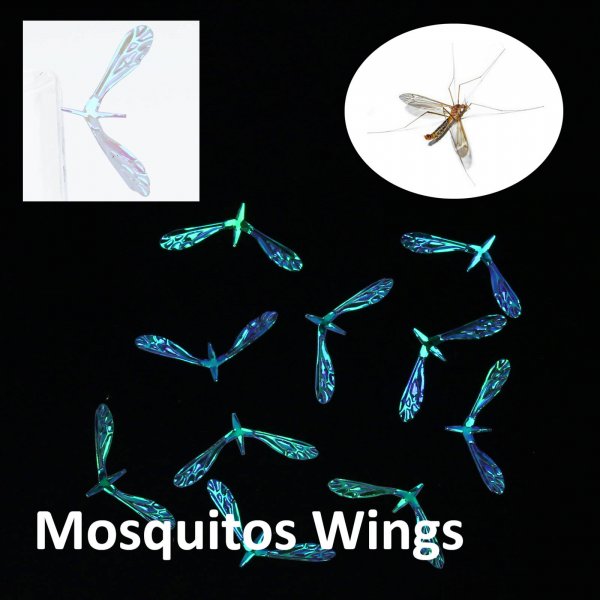 Mosquitos Wings