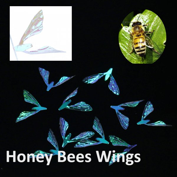 Honey Bees Wings