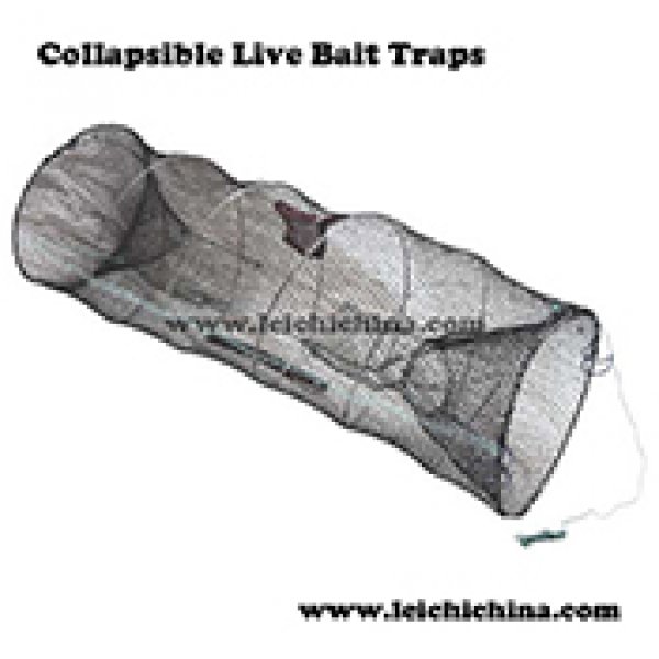 Collapsible Live Bait Traps