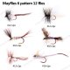 mayflies - 副本