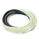 Sinking tip Fly line (1)