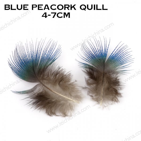 blue peacork quill