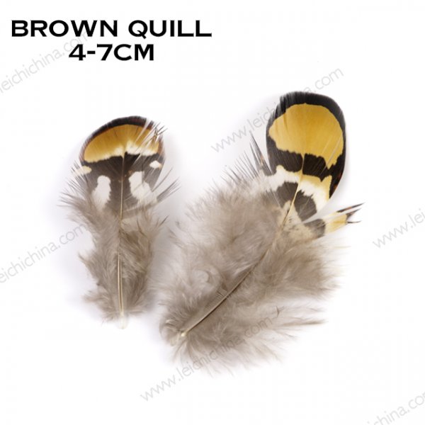 brown quill