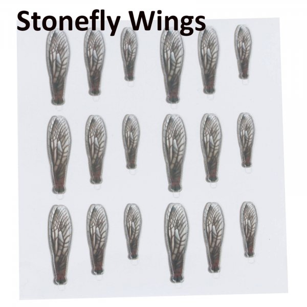 Stonefly wings