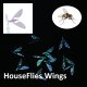 Houseflies 10只装-2