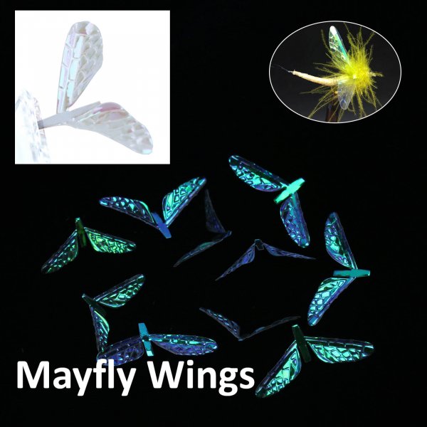 Mayfly Wings