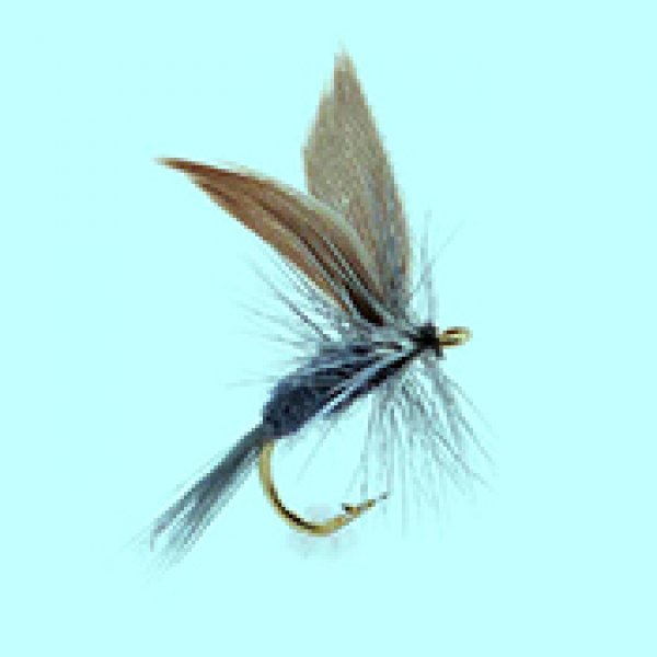 Dry fly Blue Dun