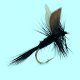 dry fly Black Gnat