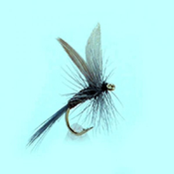 Dry fly Blue Quill