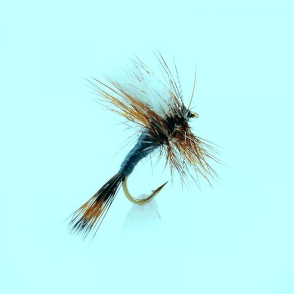 Dry fly Adams Wullf