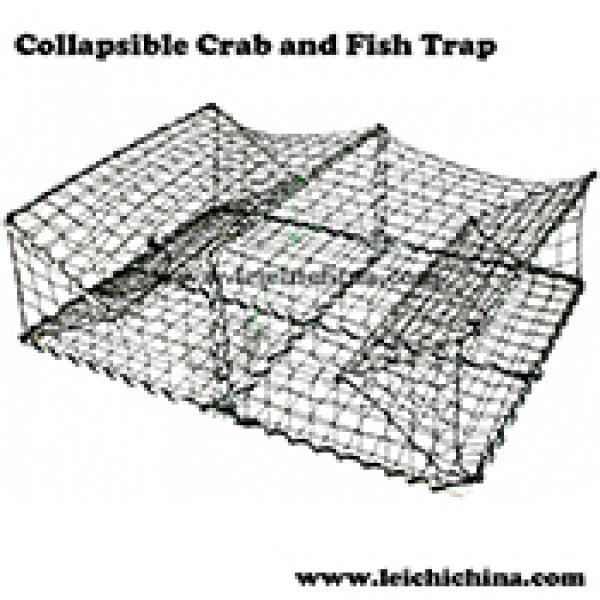 Collapsible Crab and Fish Trap