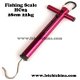 fishing scale HC03