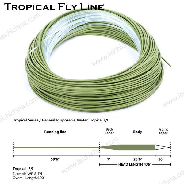 tropical fly line