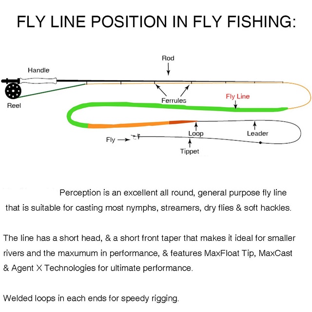 Perception Floating Trout Fly Line