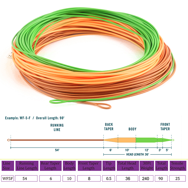 EUPHNG Floating Fly Line For Trout Fishing - 100FT Weight Forward, Welded Loop, Fresh & Saltwater Ready