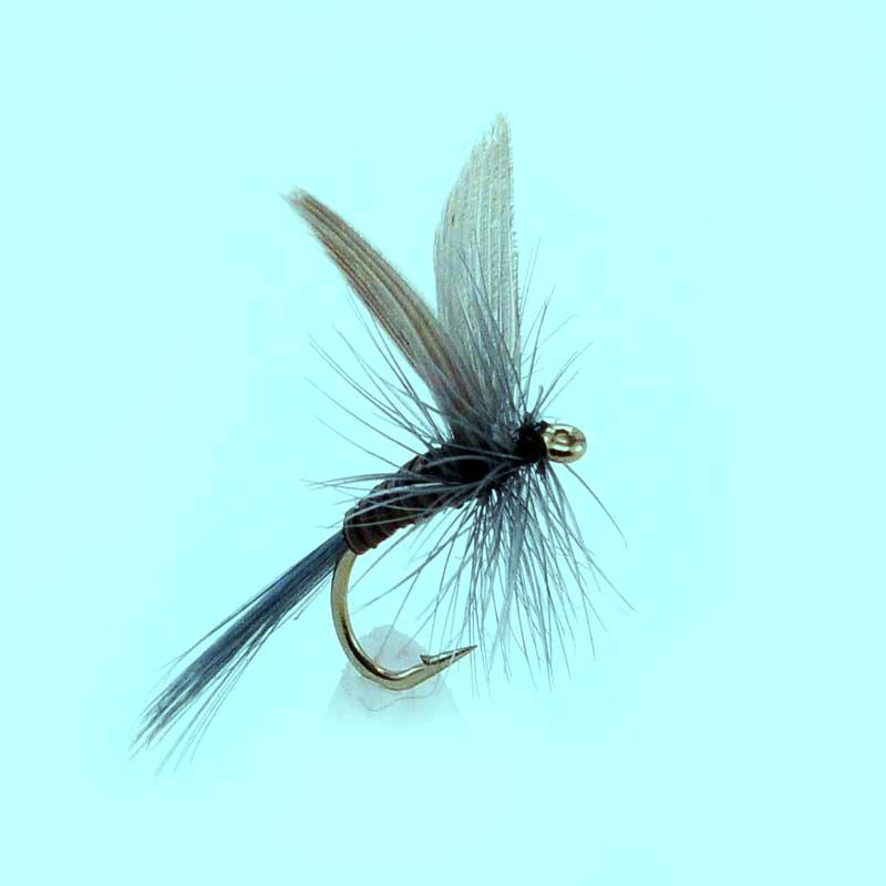 dry fly Blue Quill