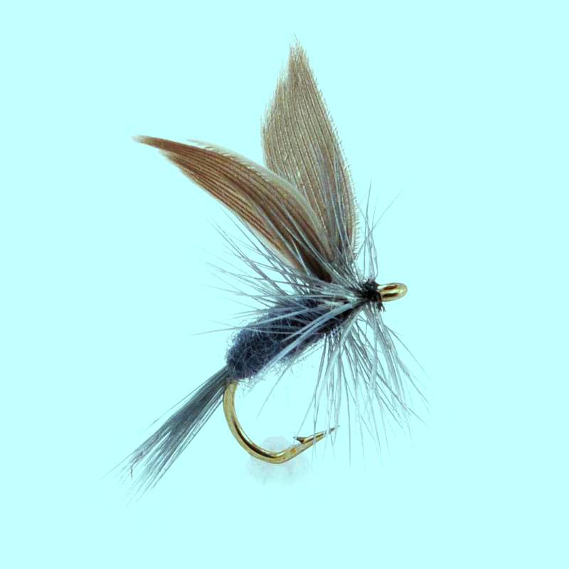 dry fly Blue Dun