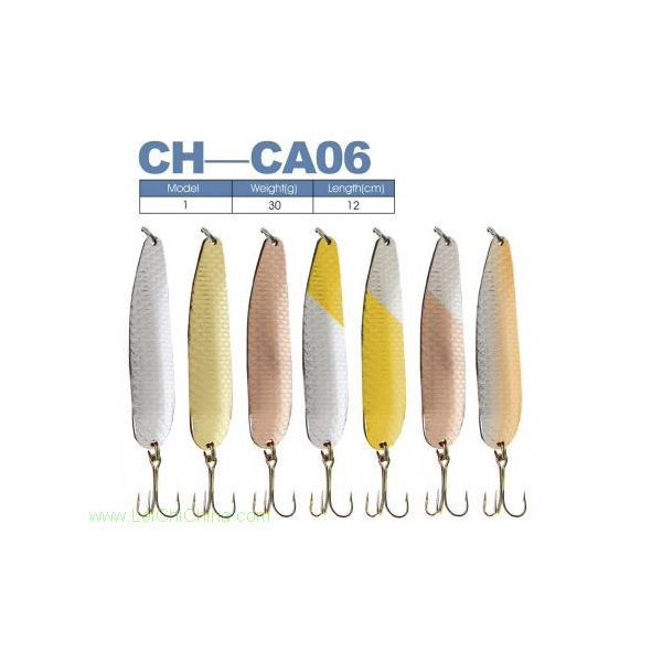 CH-CA06